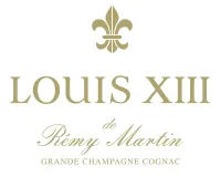 louis xiii